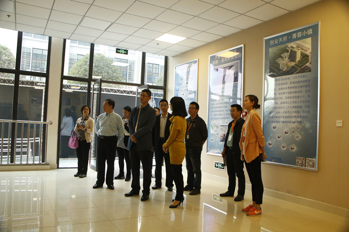 _MG_8489.JPG
